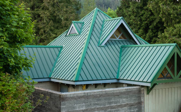 Best Roof Moss and Algae Removal  in Hudson, PA